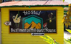 Bastimentos Hill Guest House